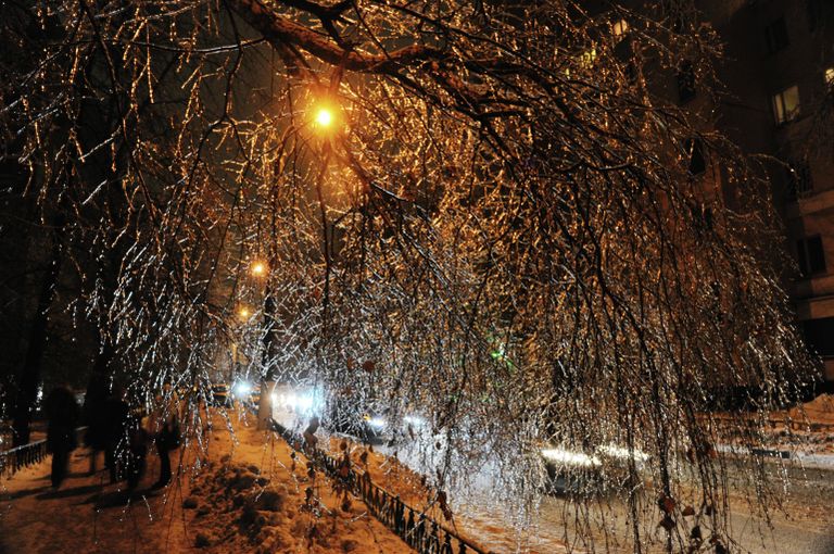 Улица Листьева после ледяного дождя. 2010 год Улица Листьева после ледяного дождя. 2010 год