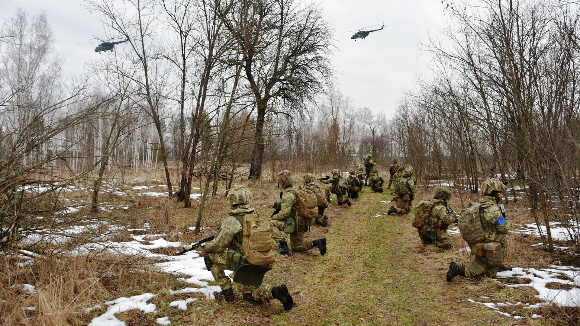 Украинские военные во время учений Украинские военные во время учений - РИА Новости, 1920, 23.02.2022