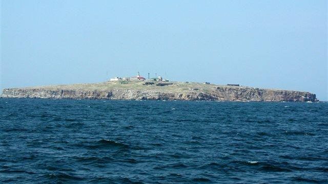 Остров Змеиный Остров Змеиный - РИА Новости, 1920, 01.07.2022