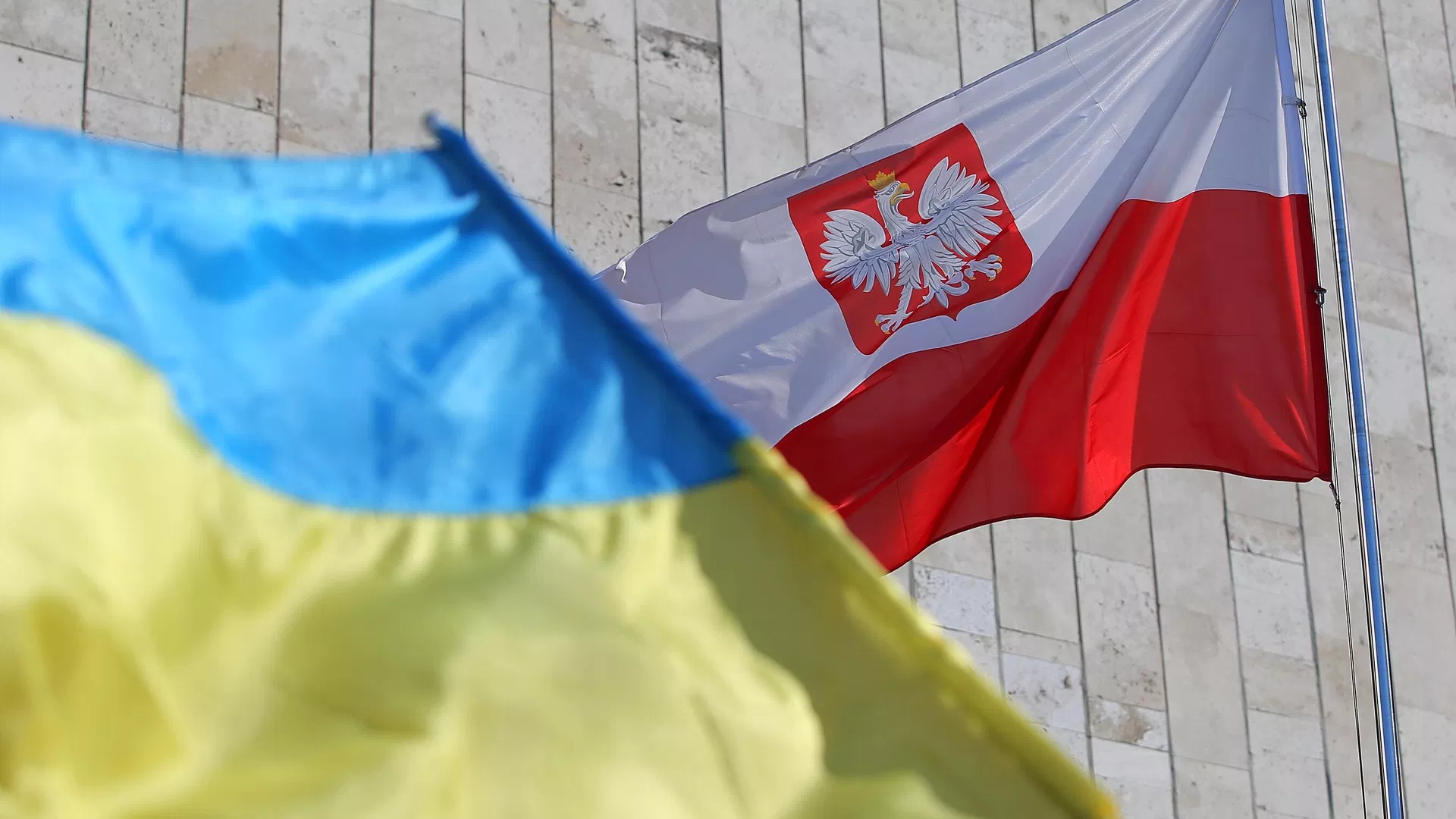 Польская депутат призвала ограничить права украинских мигрантов
