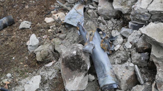 В ЛНР с 2014 года из-за ВСУ погибли 79 детей, сообщила омбудсмен