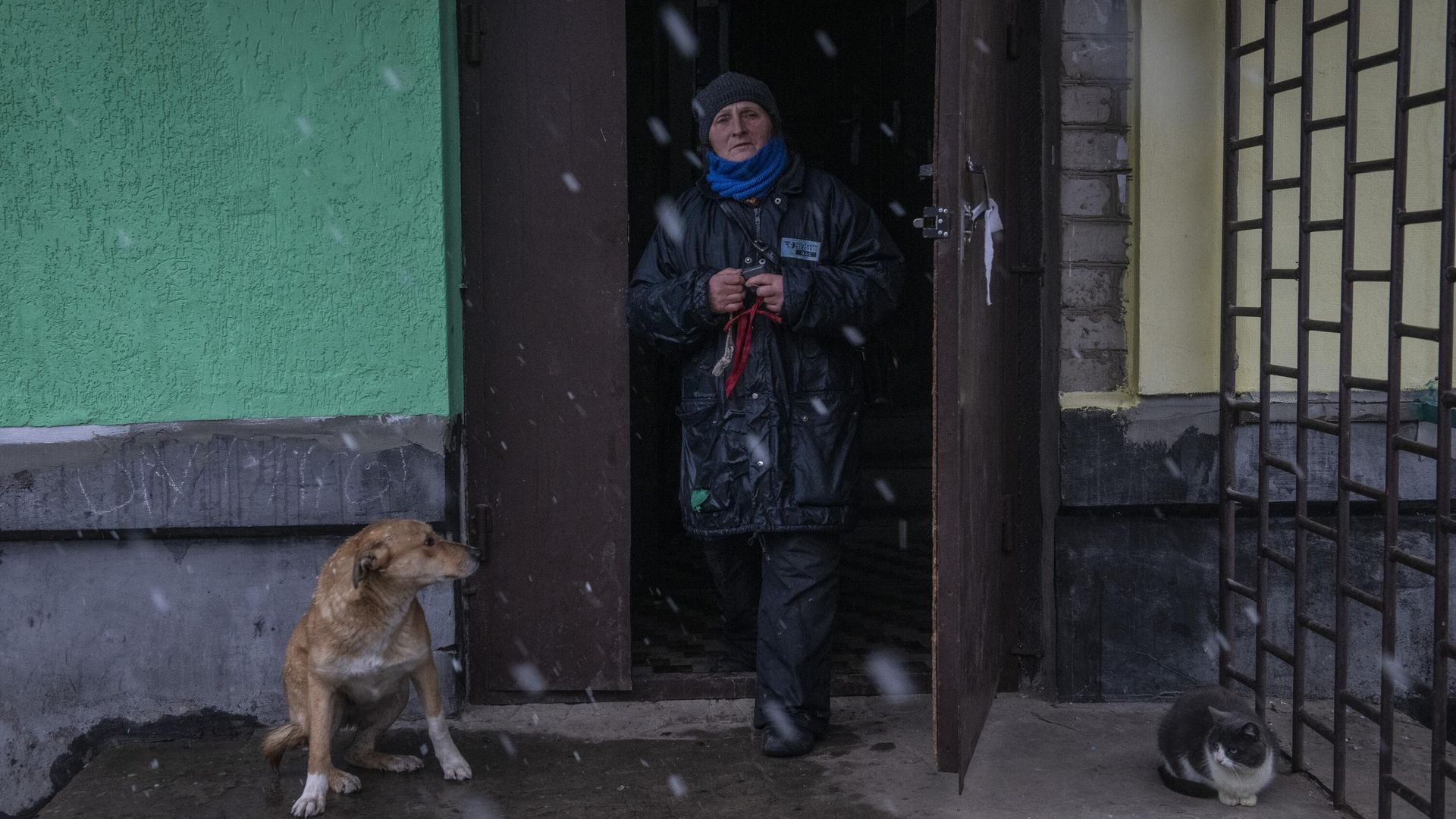 Женщина выходит из подъезда жилого дома в освобожденном городе Счастье в Луганской народной республике Женщина выходит из подъезда жилого дома в освобожденном городе Счастье в Луганской народной республике - РИА Новости, 1920, 29.03.2022