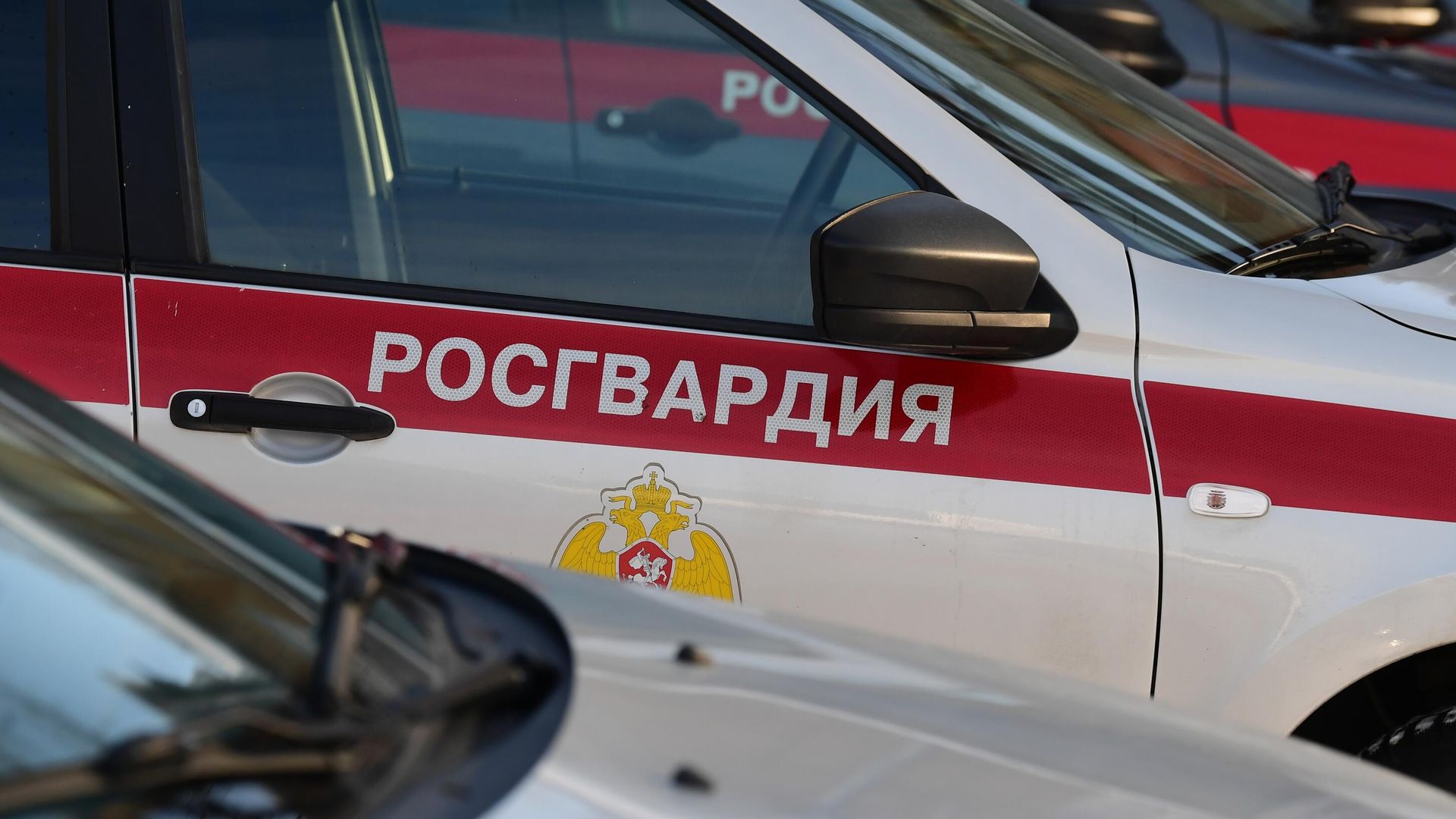 Автомобиль Росгвардии  - РИА Новости, 1920, 06.09.2022