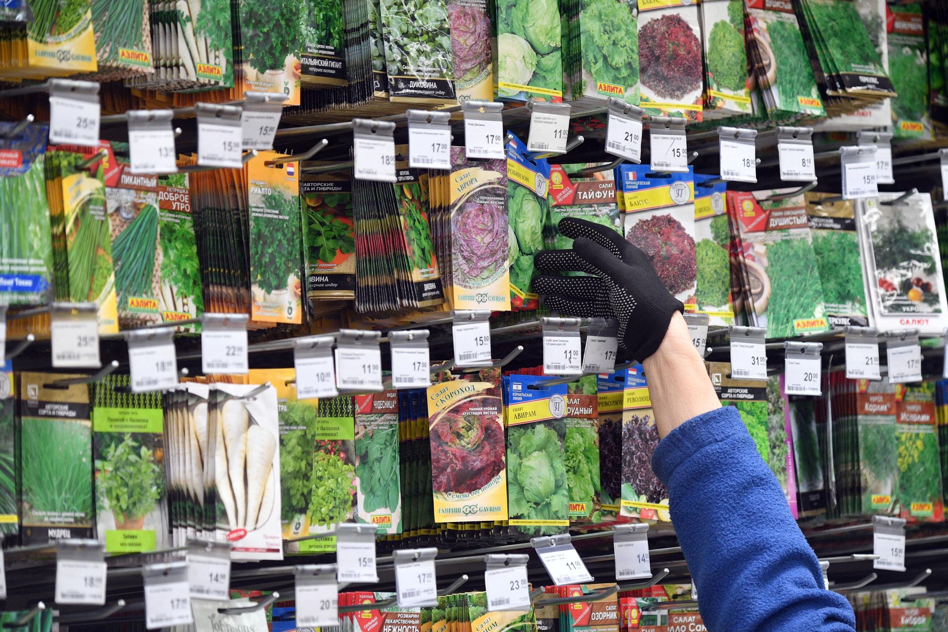 Продажа семян овощных культур в Москве  - РИА Новости, 1920, 28.03.2022