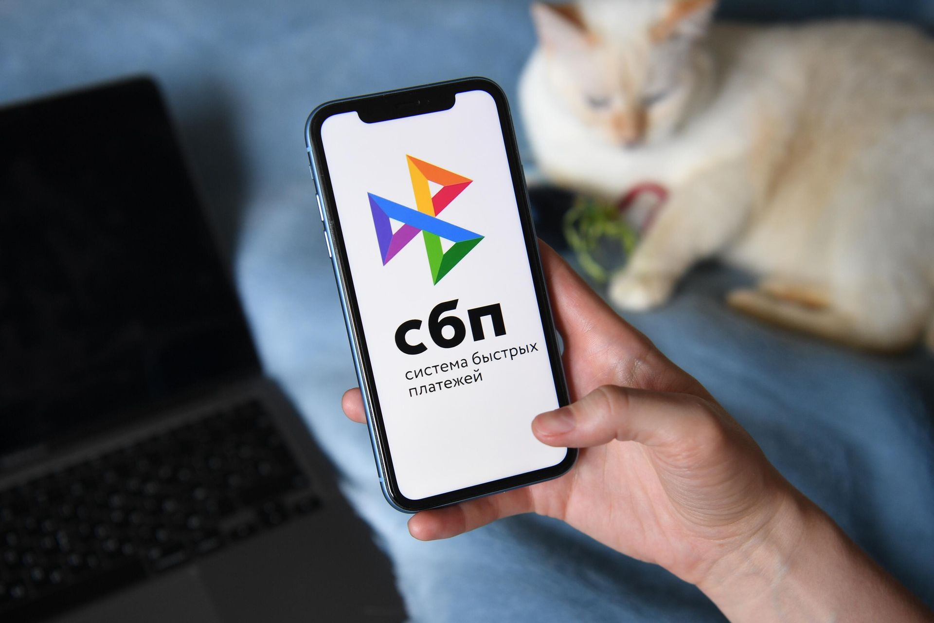 Логотип Системы быстрых платежей на экране смартфона Логотип Системы быстрых платежей на экране смартфона - РИА Новости, 1920, 28.04.2022