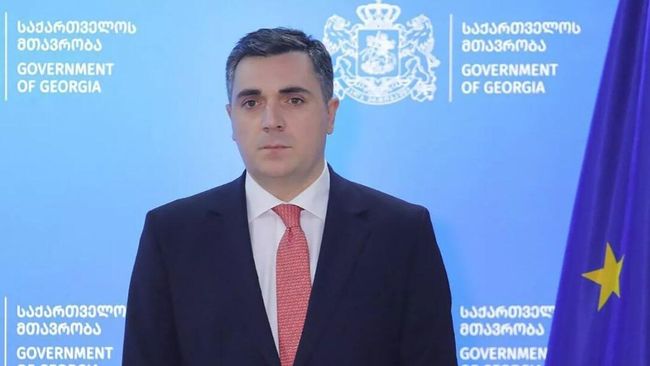Глава МИД Грузии Илья Дарчиашвили