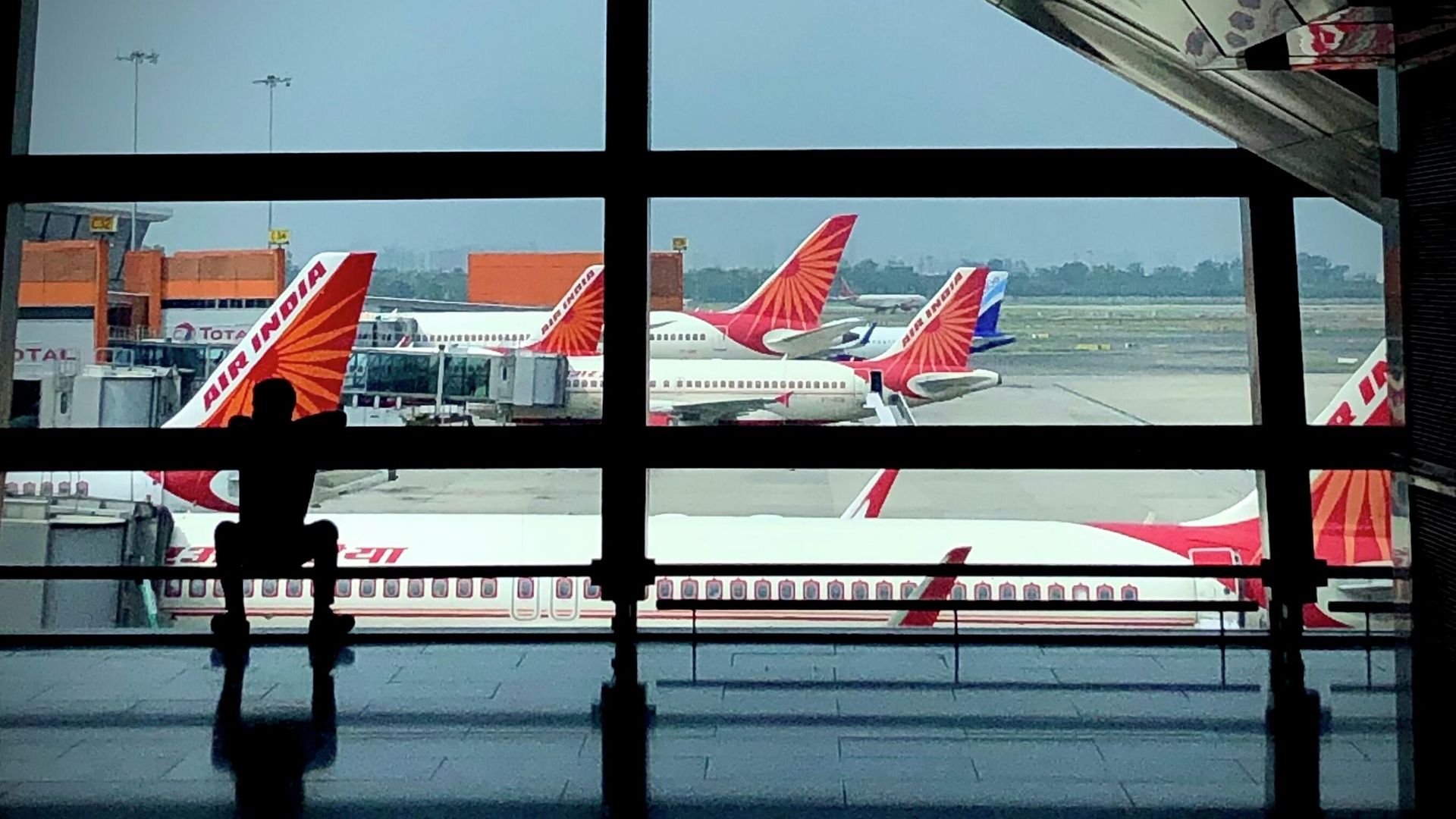 Самолеты авиакомпании Air India в аэропорту Нью-Дели Самолеты авиакомпании Air India в аэропорту Нью-Дели - РИА Новости, 1920, 08.06.2023