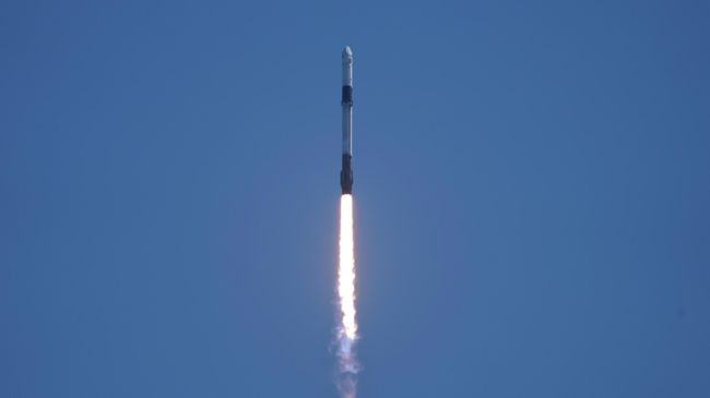 Старт ракеты Falcon 9 с кораблем Crew Dragon с космодрома во Флориде