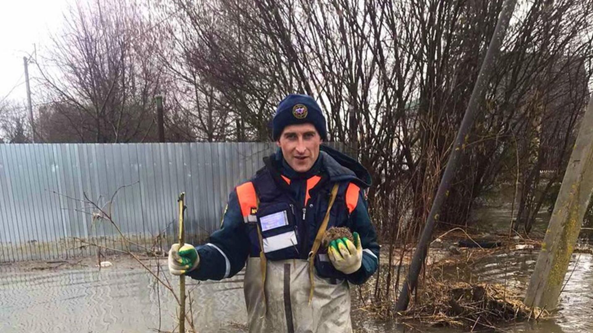 В Гагаринском районе Смоленской области во время обхода подтопленных приусадебных участков спасатели вынесли ежа с отрезанного водой участка земли В Гагаринском районе Смоленской области во время обхода подтопленных приусадебных участков спасатели вынесли ежа с отрезанного водой участка земли - РИА Новости, 1920, 14.04.2022