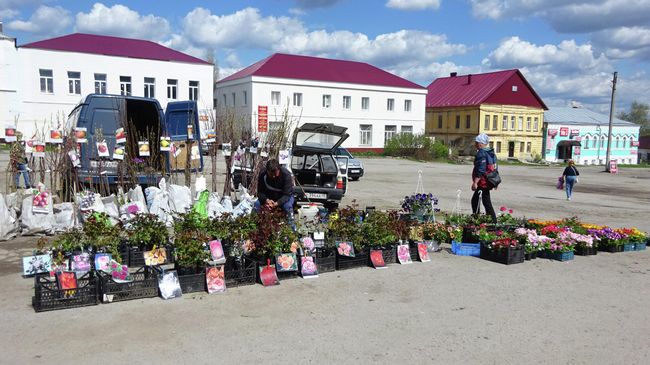 Рынок на Хлебной площади Рынок на Хлебной площади