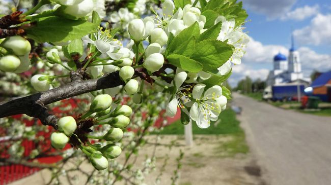 Весна в Чаплыгине Весна в Чаплыгине