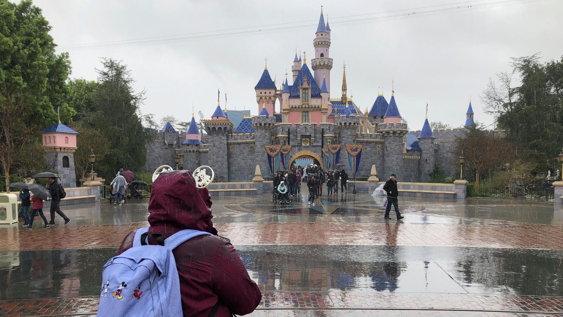 Посетители парка развлечений Disneyland в Анахайме, Калифорния Посетители парка развлечений Disneyland в Анахайме, Калифорния - РИА Новости, 1920, 19.04.2022