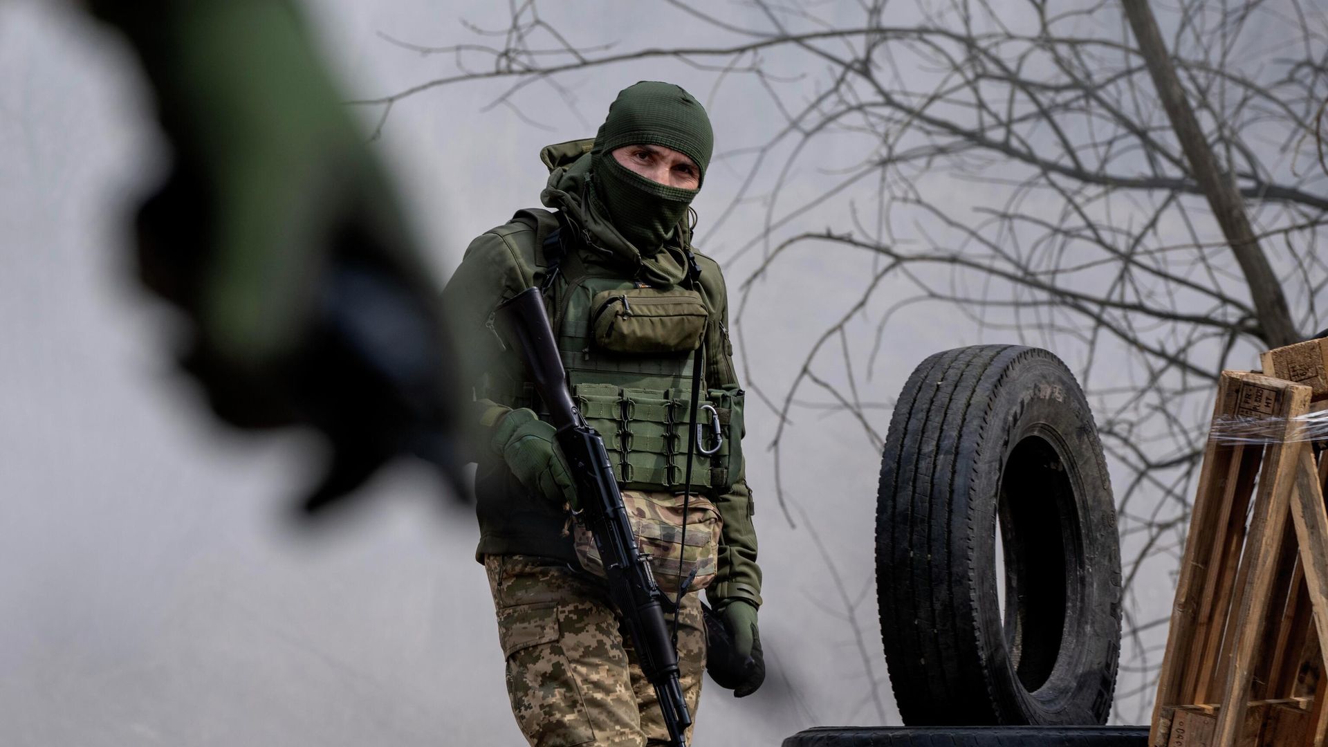 Участник войск территориальной обороны Украины Участник войск территориальной обороны Украины - РИА Новости, 1920, 15.09.2024