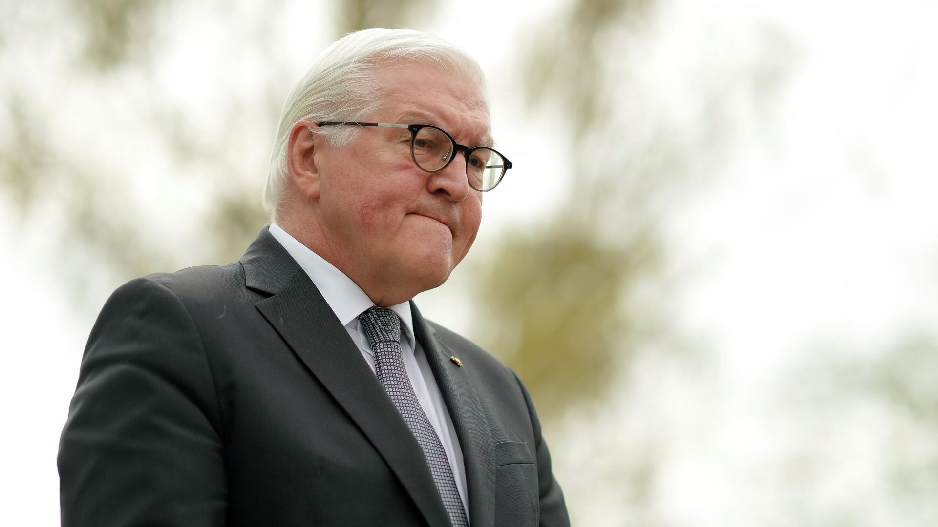 Президент Германии Франк-Вальтер Штайнмайер Президент Германии Франк-Вальтер Штайнмайер - РИА Новости, 1920, 12.11.2024