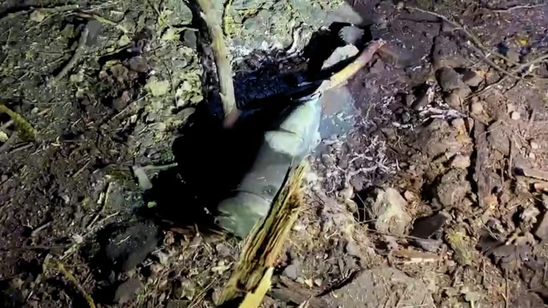Осколки ракеты Точка-У во дворе спортивной школы Херсона Осколки ракеты Точка-У во дворе спортивной школы Херсона - РИА Новости, 1920, 28.04.2022