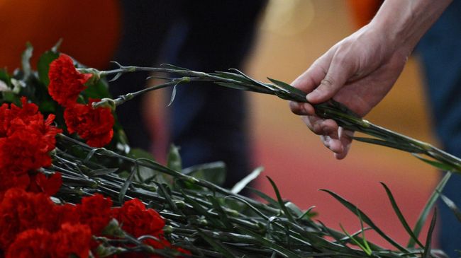 Гвоздики Гвоздики