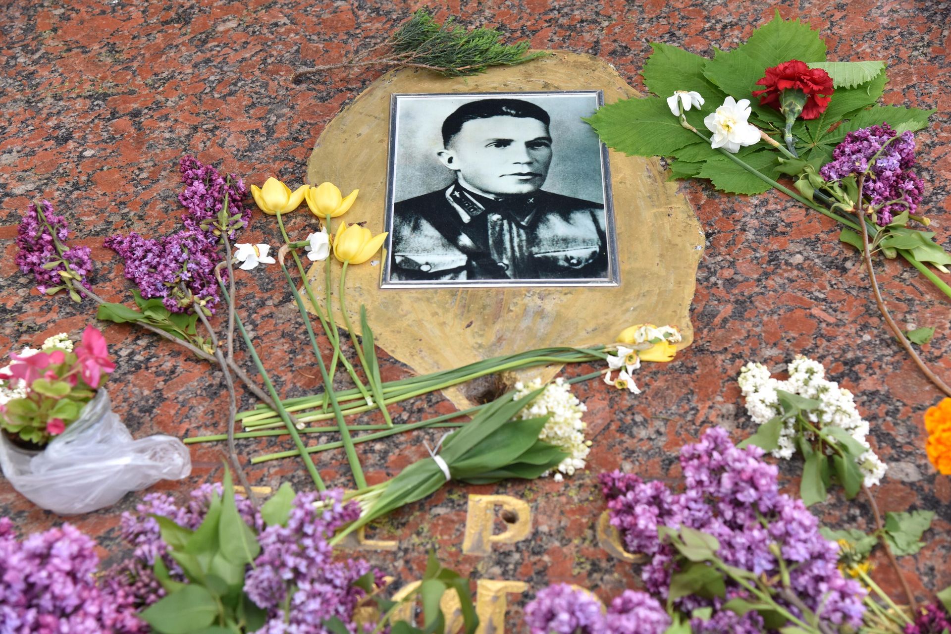 Цветы на могиле советского разведчика Николая Кузнецова на Холме Славы во Львове. Цветы на могиле советского разведчика Николая Кузнецова на Холме Славы во Львове. - РИА Новости, 1920, 06.05.2022