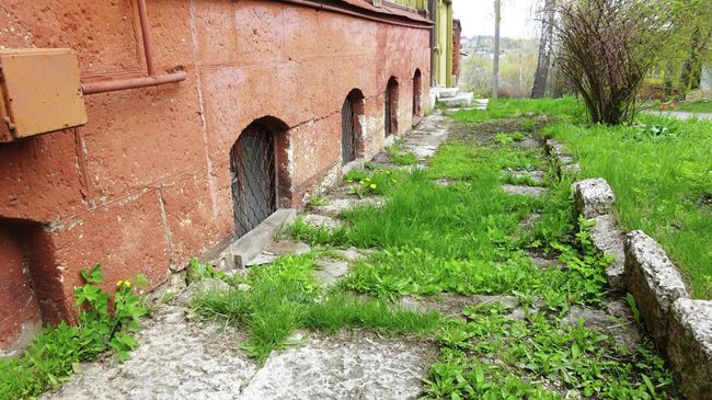 Деревянный дом начала 20 века, остатки старого плитуара, уже поросшие травой Деревянный дом начала 20 века, остатки старого плитуара, уже поросшие травой