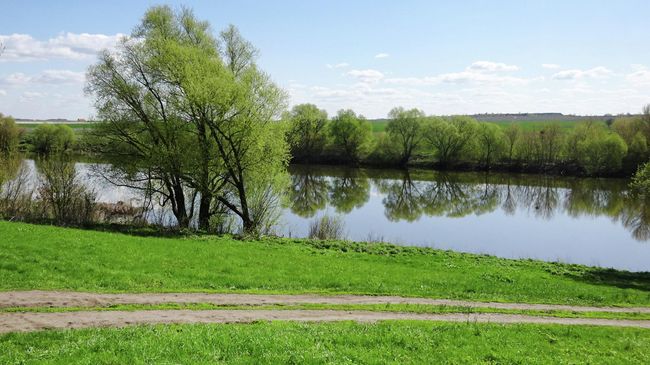 Река Быстрая Сосна Река Быстрая Сосна