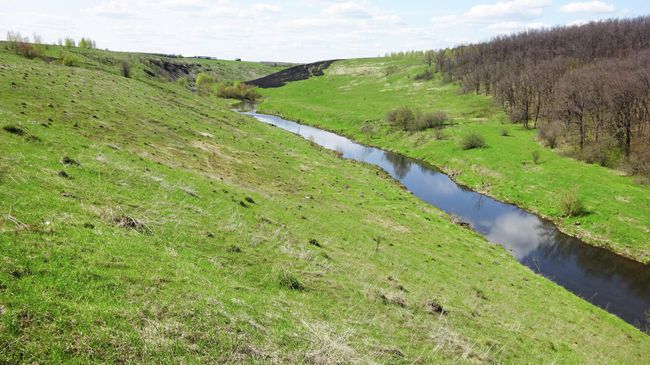 Река Аргамач и лес Просека Река Аргамач и лес Просека