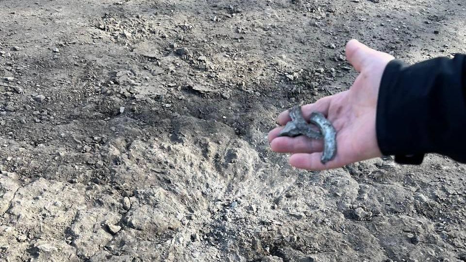 Последствия обстрела в Белгородской области Последствия обстрела в Белгородской области - РИА Новости, 1920, 31.01.2024