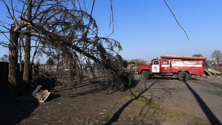 Сгоревшие деревья на улице в городе Уяре Красноярского края Сгоревшие деревья на улице в городе Уяре Красноярского края