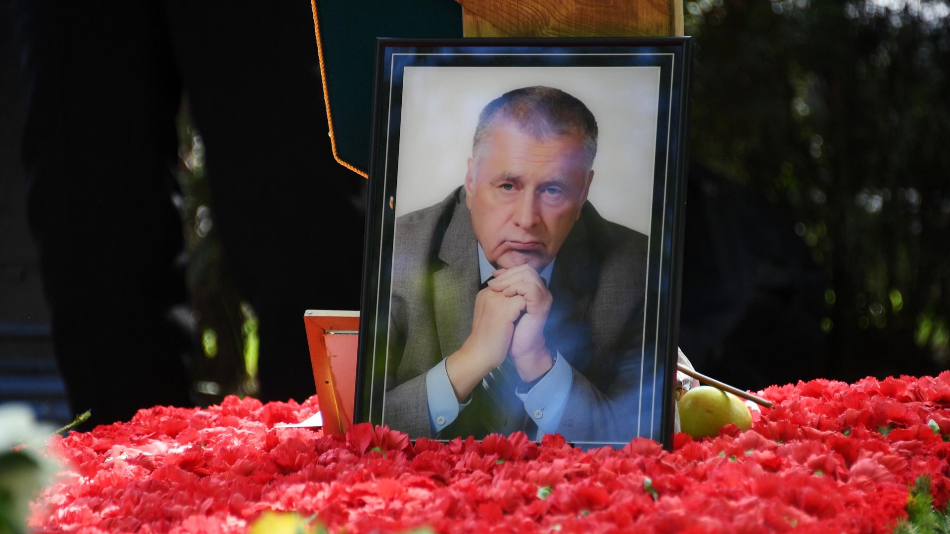 Портрет на могиле Владимира Жириновского Портрет на могиле Владимира Жириновского - РИА Новости, 1920, 06.11.2024