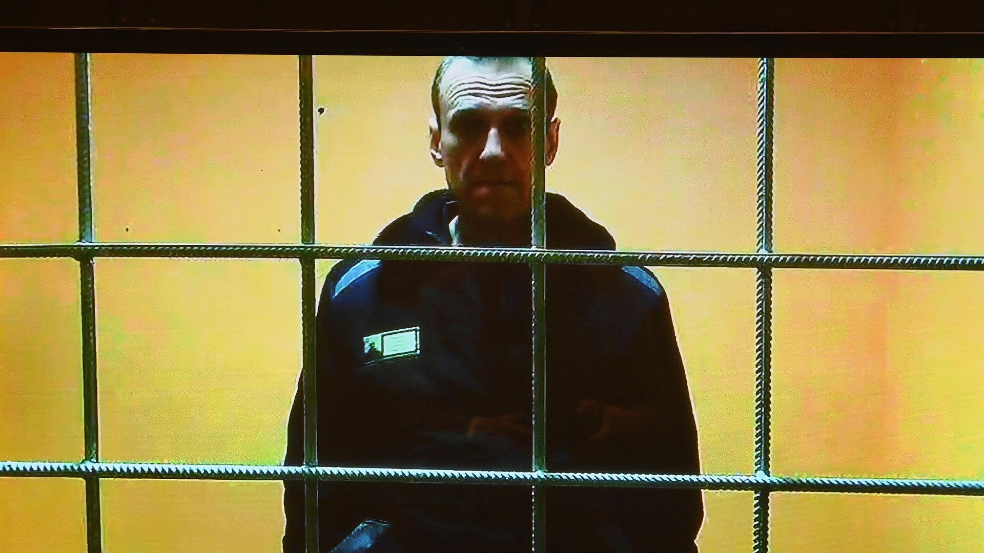 Алексей Навальный участвует по видеосвязи в заседании суда Алексей Навальный участвует по видеосвязи в заседании суда - РИА Новости, 1920, 26.05.2022