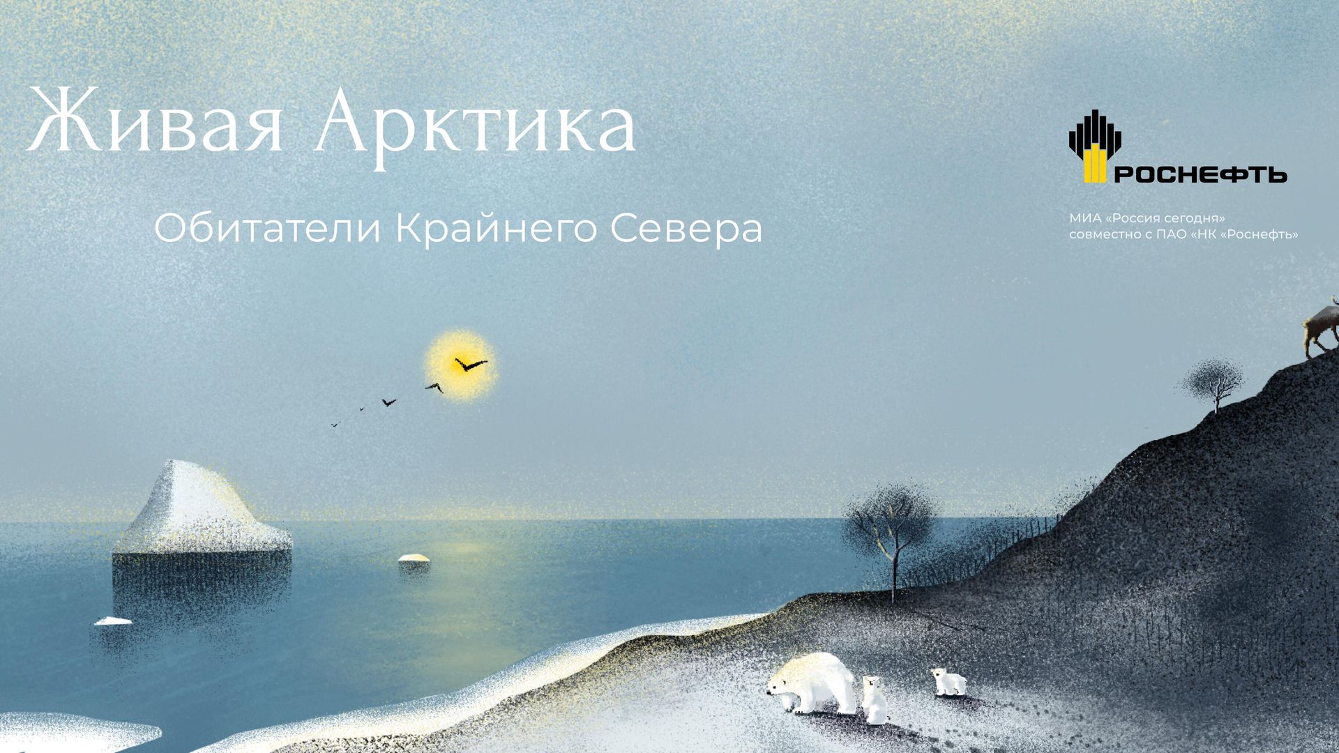 Совместный спецпроект РИА Новости и компании Роснефть Живая Арктика. Обитатели крайнего севера Совместный спецпроект РИА Новости и компании Роснефть Живая Арктика. Обитатели крайнего севера - РИА Новости, 1920, 16.05.2022