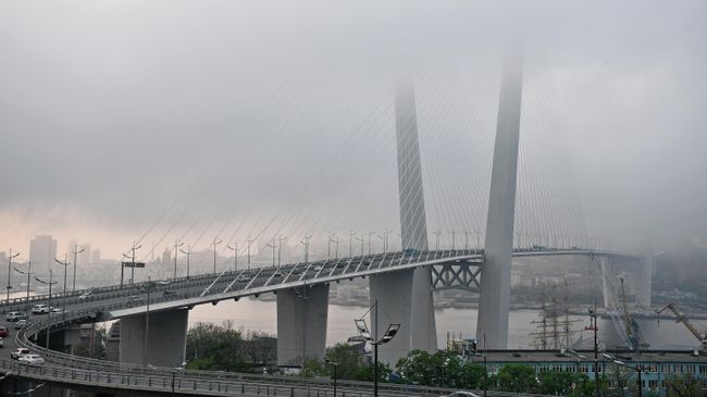 Во Владивостоке подростки залезли на пилон Золотого моста