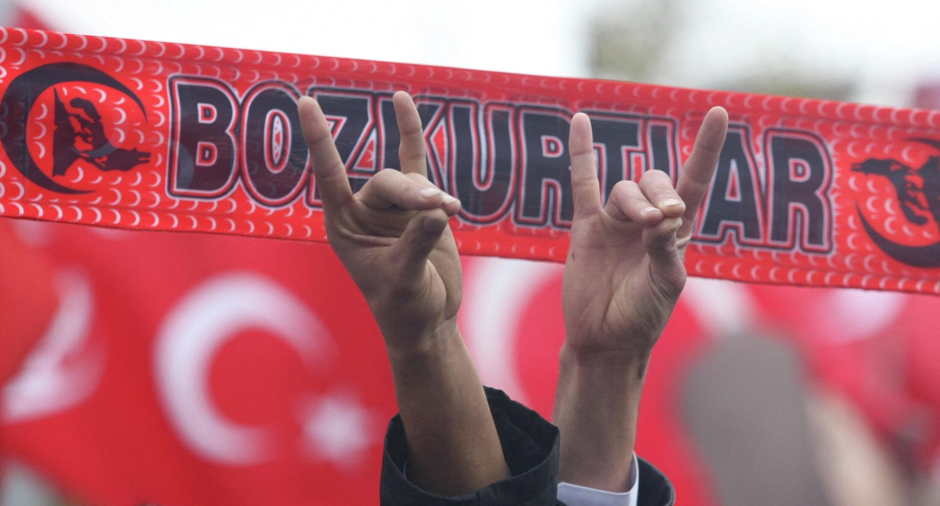 Сторонники партии Бозкурт во время митинга Сторонники партии Бозкурт во время митинга - РИА Новости, 1920, 18.05.2022