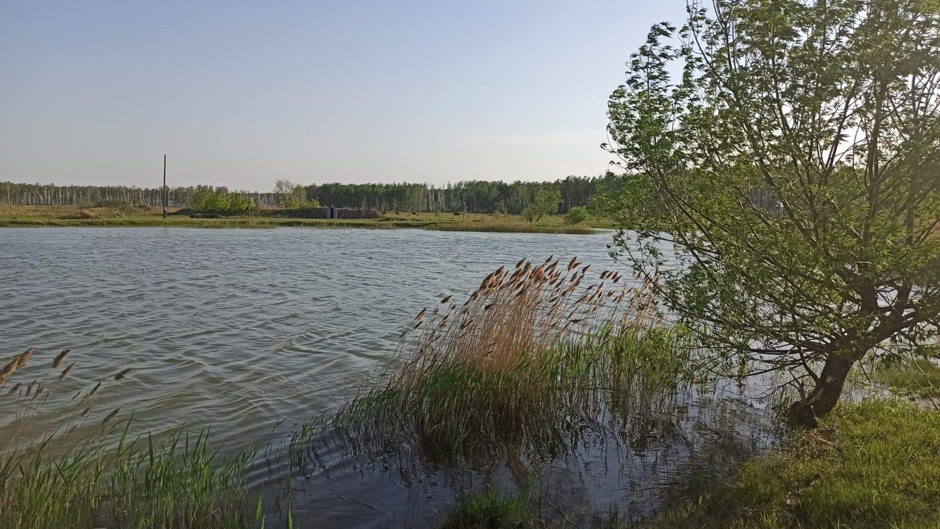 Подросток утонул в котловане, заполненном водой, под селом Азово в Омской области Подросток утонул в котловане, заполненном водой, под селом Азово в Омской области - РИА Новости, 1920, 27.05.2022