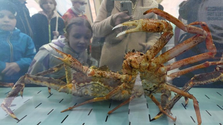 Открытие фестиваля Рыбная неделя в Москве Открытие фестиваля Рыбная неделя в Москве
