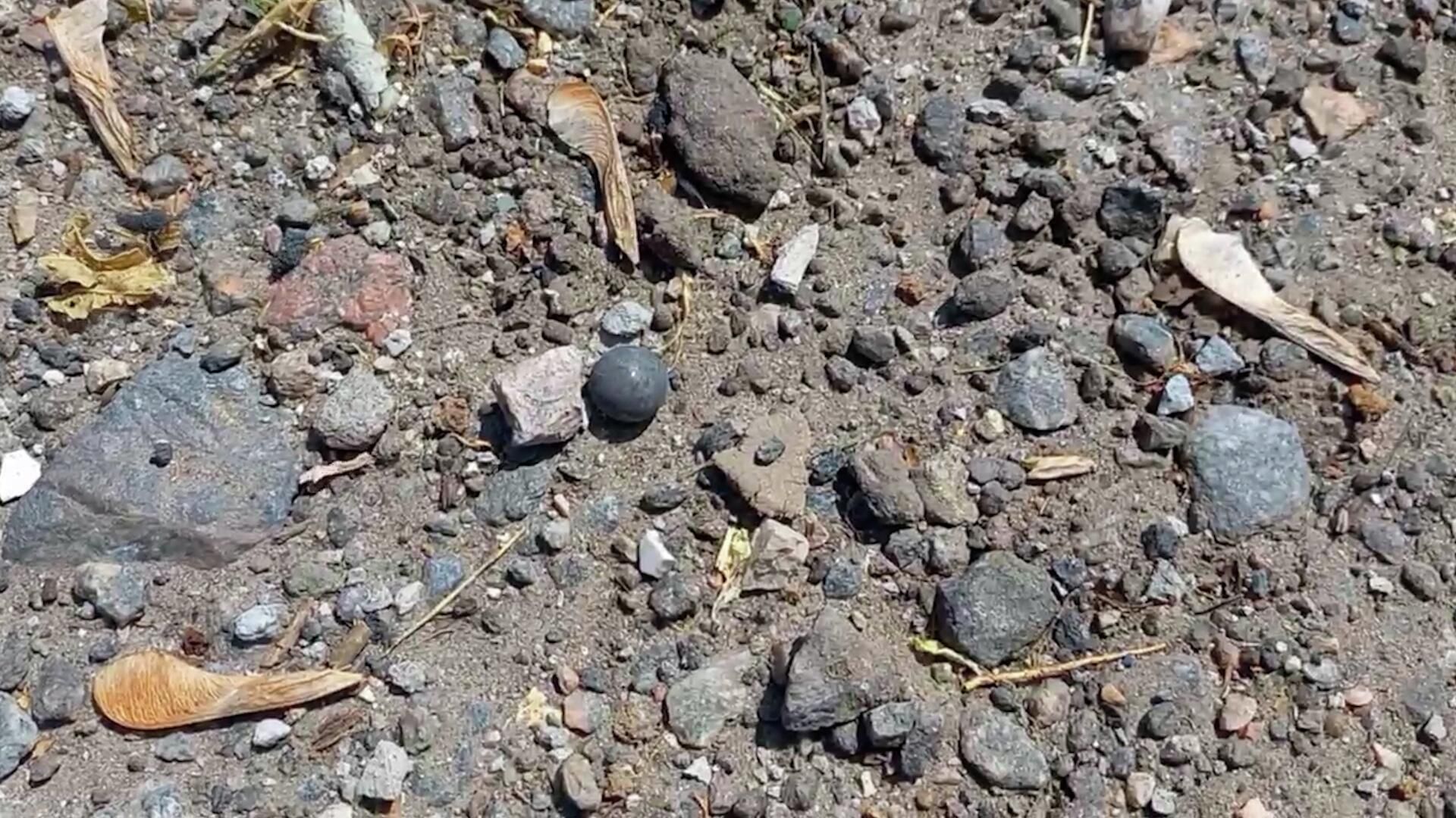 Поражающий элемент взорвавшейся бомбы с места теракта в Мелитополе Поражающий элемент взорвавшейся бомбы с места теракта в Мелитополе - РИА Новости, 1920, 30.05.2022