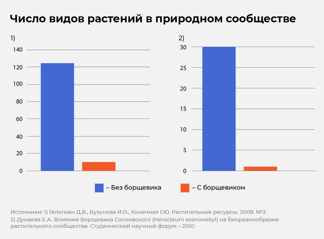 График борщевик