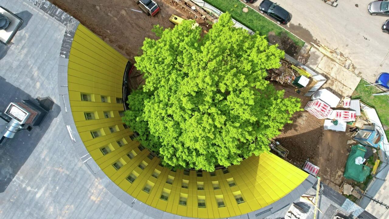 Строительство школы в новой Москве Строительство школы в новой Москве - РИА Новости, 1920, 01.06.2022