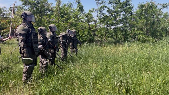 Саперы Международного противоминного центра ВС России