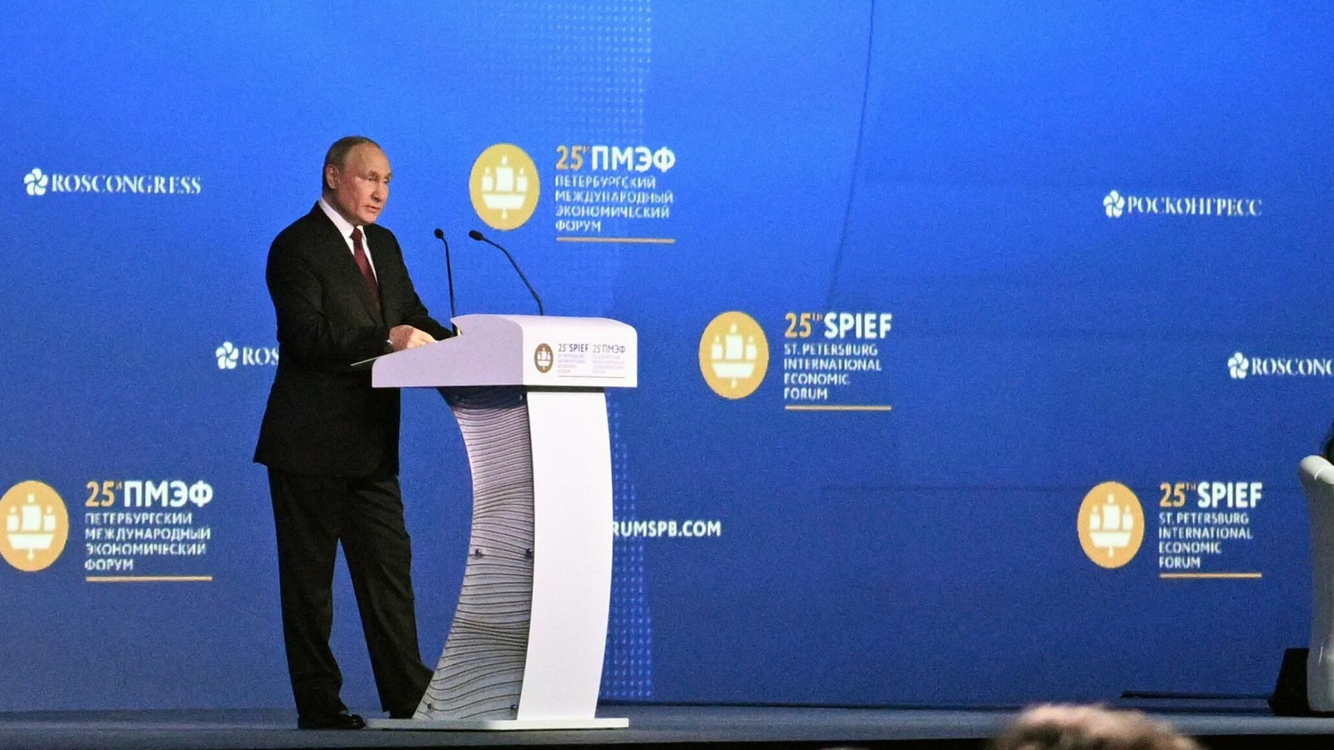 Президент РФ Владимир Путин выступает на пленарном заседании юбилейного, XXV Петербургского международного экономического форума Президент РФ Владимир Путин выступает на пленарном заседании юбилейного, XXV Петербургского международного экономического форума - РИА Новости, 1920, 17.06.2022