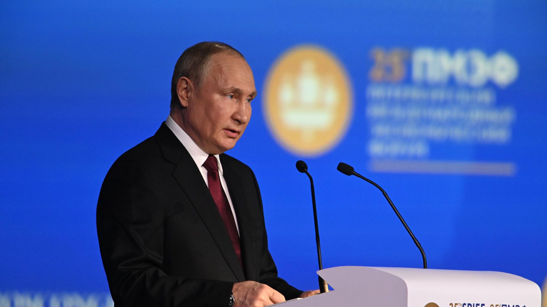 Президент РФ Владимир Путин выступает на пленарном заседании юбилейного, XXV Петербургского международного экономического форума Президент РФ Владимир Путин выступает на пленарном заседании юбилейного, XXV Петербургского международного экономического форума - РИА Новости, 1920, 17.06.2022