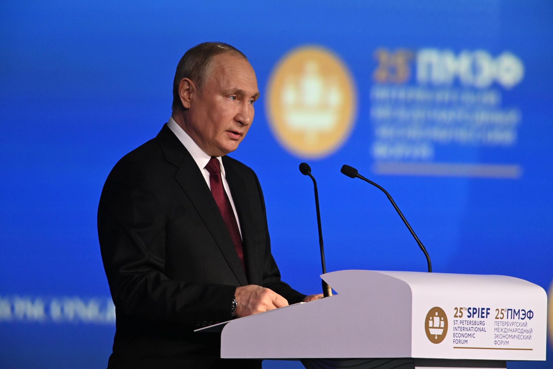 Президент РФ Владимир Путин выступает на пленарном заседании юбилейного, XXV Петербургского международного экономического форума Президент РФ Владимир Путин выступает на пленарном заседании юбилейного, XXV Петербургского международного экономического форума - РИА Новости, 1920, 17.06.2022