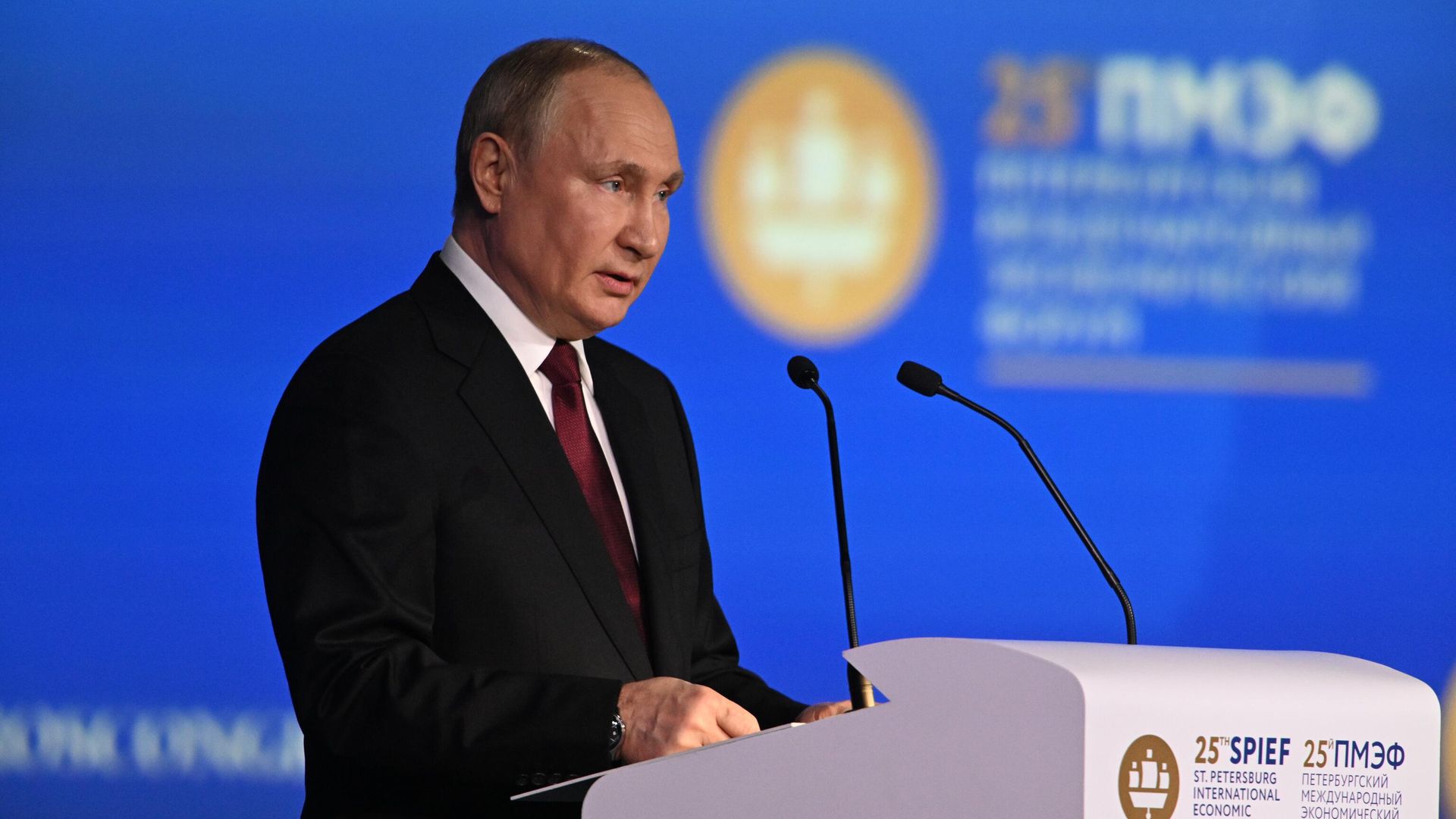 Президент РФ Владимир Путин выступает на пленарном заседании юбилейного, XXV Петербургского международного экономического форума Президент РФ Владимир Путин выступает на пленарном заседании юбилейного, XXV Петербургского международного экономического форума - РИА Новости, 1920, 17.06.2022