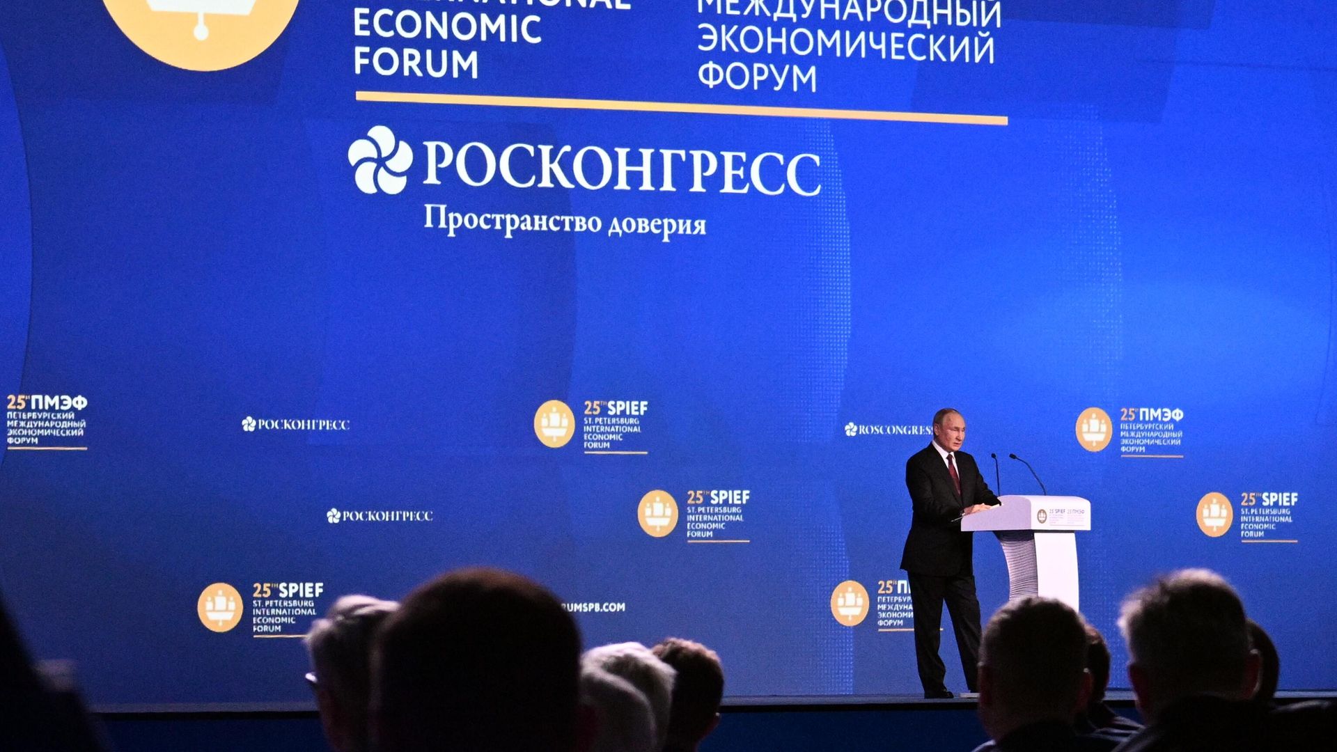 Президент РФ Владимир Путин выступает на пленарном заседании XXV Петербургского международного экономического форума - РИА Новости, 1920, 17.06.2022