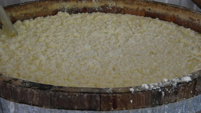 Производство традиционного алтайского сыра курут на семейной сыроварне А. Мехова в селе Камлак в Республике Алтай Производство традиционного алтайского сыра курут на семейной сыроварне А. Мехова в селе Камлак в Республике Алтай