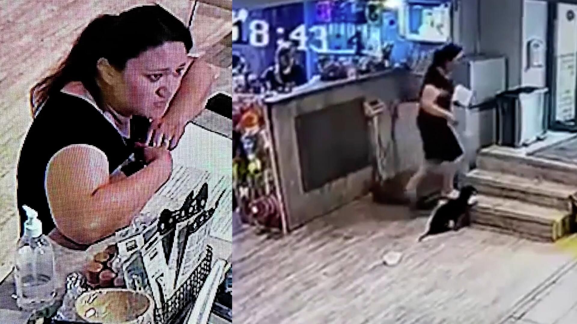 Жительница Тюмени бросила больную таксу в ветклинике. Кадры с камеры наблюдения Жительница Тюмени бросила больную таксу в ветклинике. Кадры с камеры наблюдения - РИА Новости, 1920, 04.07.2022