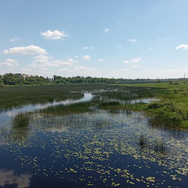 Река Молога