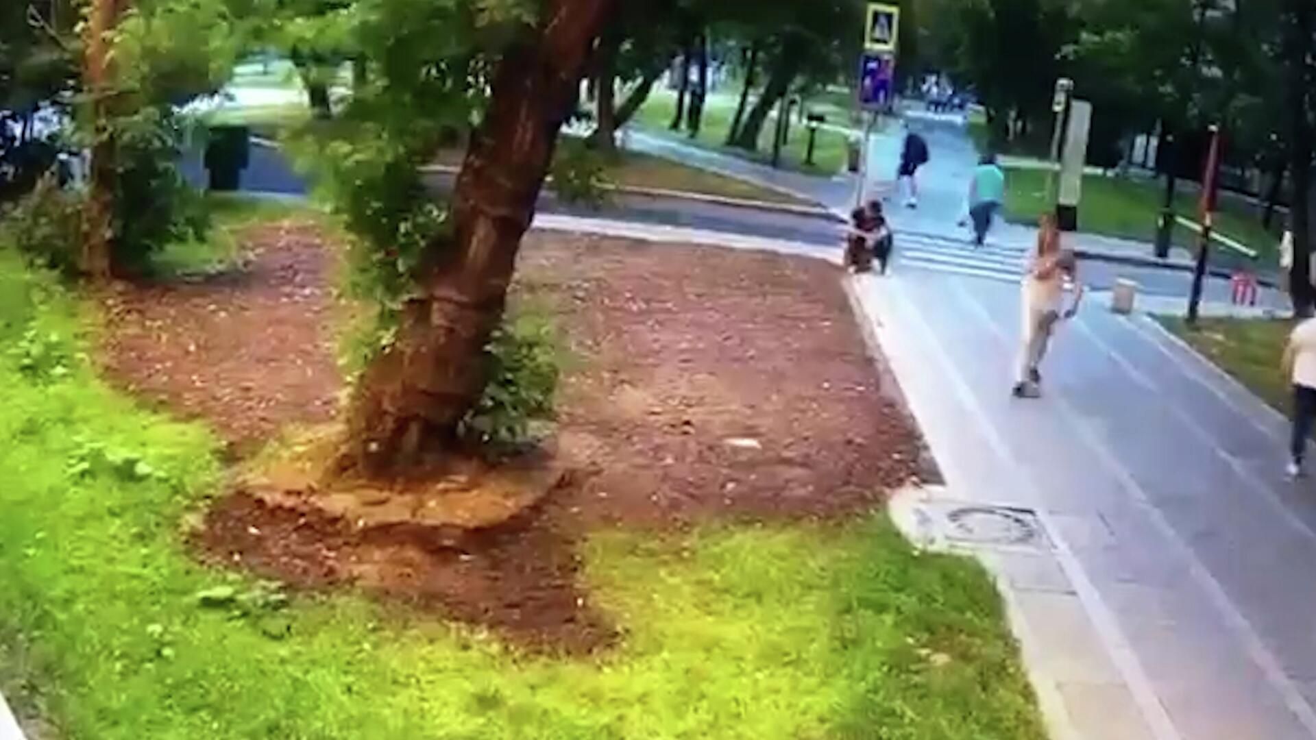 Кадры гибели мужчины, на которого упало дерево из-за сильного ветра Кадры гибели мужчины, на которого упало дерево из-за сильного ветра - РИА Новости, 1920, 10.07.2022