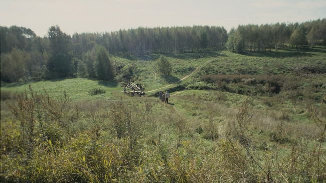 Лесопарковая зона