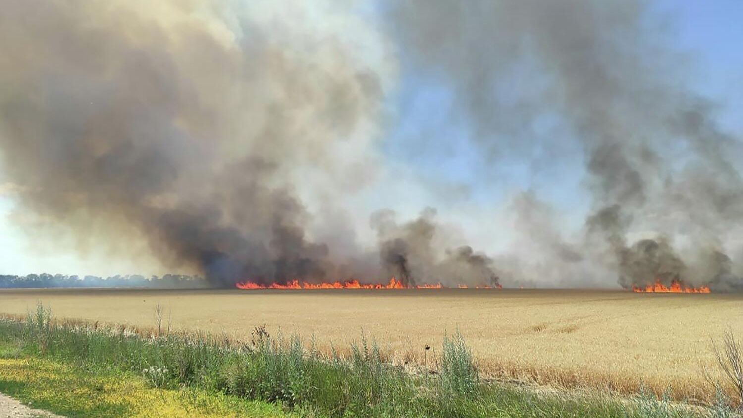 Пожар на пшеничном поле в Херсонской области Пожар на пшеничном поле в Херсонской области - РИА Новости, 1920, 13.07.2022