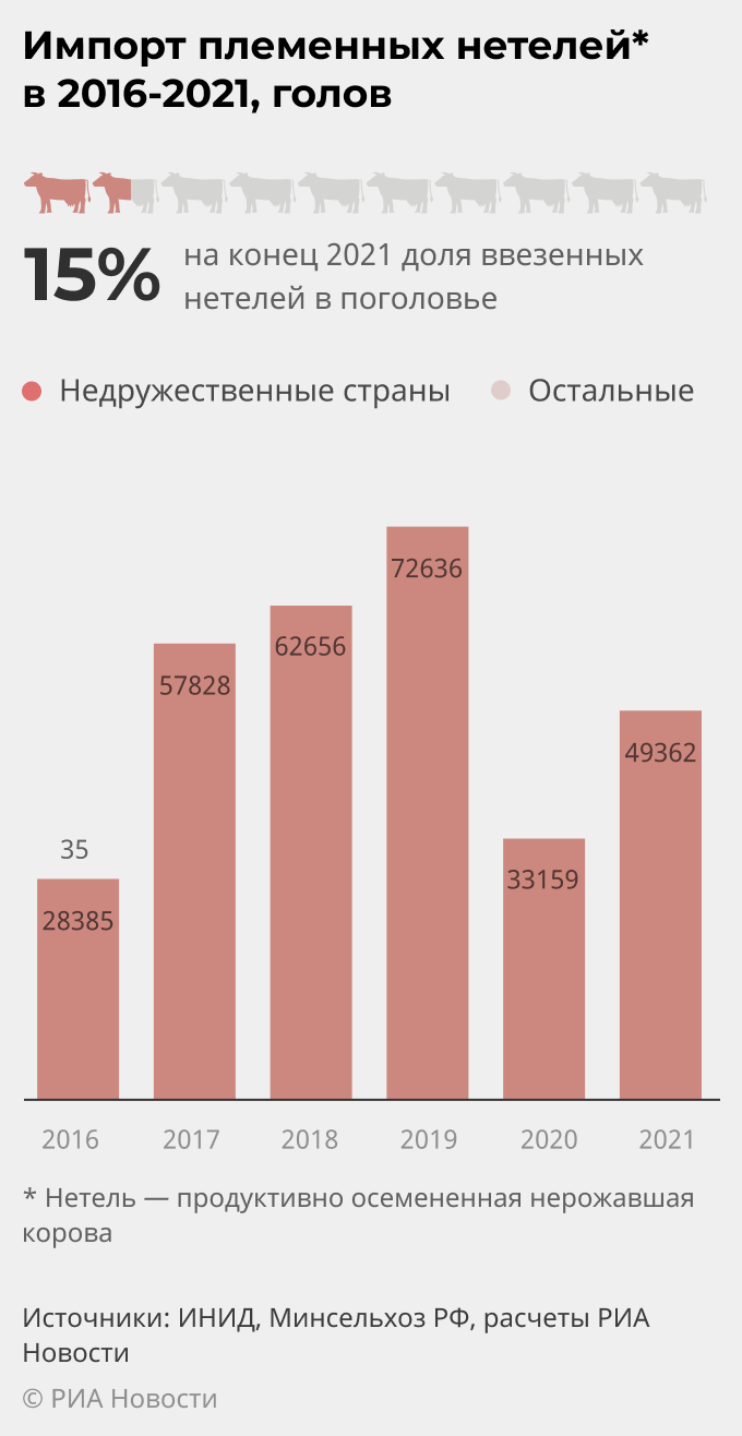 Импорт племенных нетелей в 2016-2021, голов Импорт племенных нетелей в 2016-2021, голов