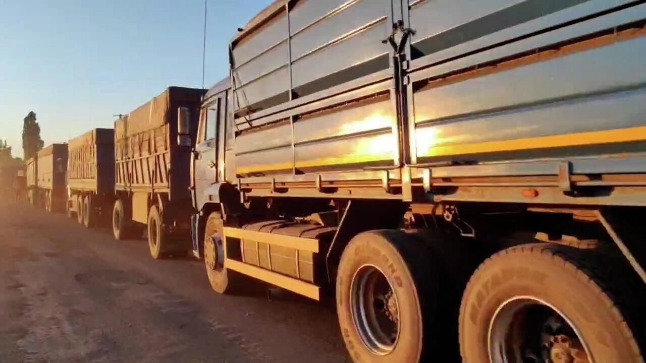 Очередь из грузовиков с зерном на границе Харьковской и Белгородской областей Очередь из грузовиков с зерном на границе Харьковской и Белгородской областей - РИА Новости, 1920, 19.07.2022
